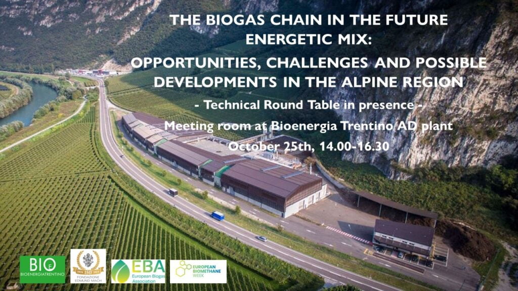 The biogas chain in the future energetic mix: opportunities, challenges and possible developments in the alpine region